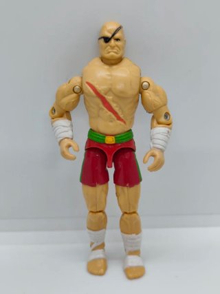 Figura de acción luchador parche ojo