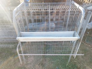 Jaula para Gallinas