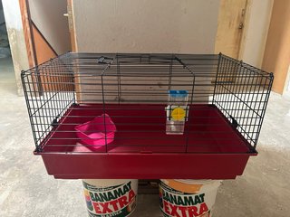 Jaula para conejo / hurón / cobaya / ratón