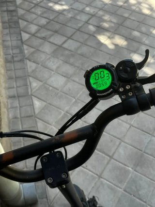 patinete eléctrico Dualtron II
