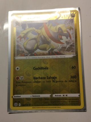 Carta Pokémon Haxorus PS 170