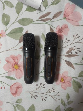 Altavoz Karaoke Portátil CHJ161
