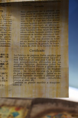 Papiros Egipcios hecho con técnica antigua.