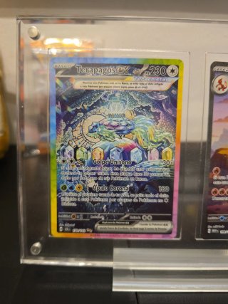 Terapagos EX Teracristal Carta Pokémon