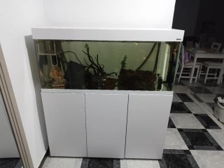 Acuario AQUAEL - ALTA CALIDAD 240 Litros Completo
