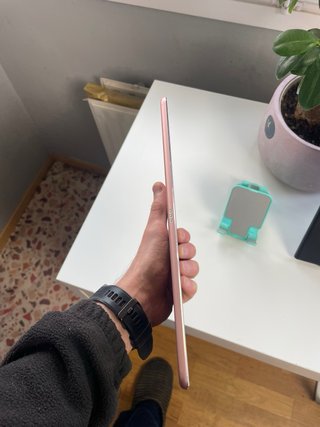 iPad Pro 9.7 1ª Gen Plata