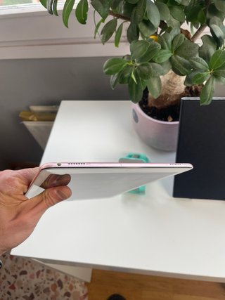 iPad Pro 9.7 1ª Gen Plata