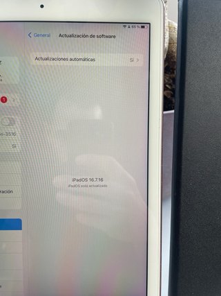 iPad Pro 9.7 1ª Gen Plata