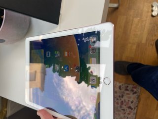iPad Pro 9.7 1ª Gen Plata