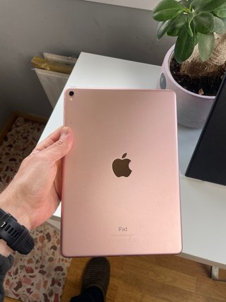 iPad Pro 9.7 1ª Gen Plata