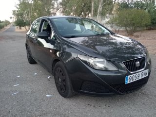 SEAT Ibiza 2010