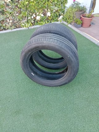 2 Ruedas Michelin 205/55 R17 95V