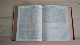 La novela picaresca española