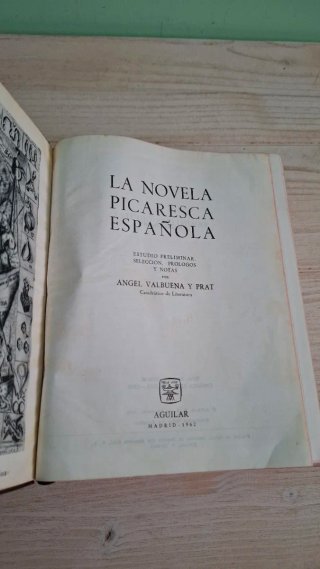 La novela picaresca española