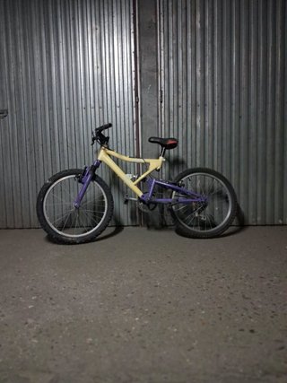 Bicicleta de 20 pulgadas