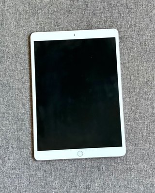 iPad Pro 10.5 256GB WiFi Plata