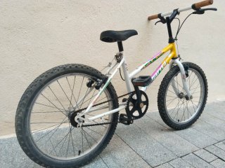 Bicicleta Infantil 20 pulgadas