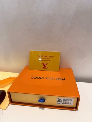 Cartera Louis Vuitton Roja y Marrón UNISEX