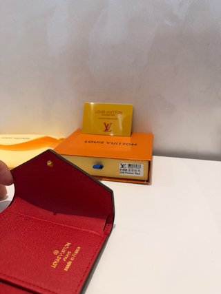 Cartera Louis Vuitton Roja y Marrón UNISEX