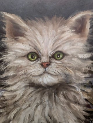 Quadro "Gatto Bianco occhi verdi", 68 x 53 cm.
