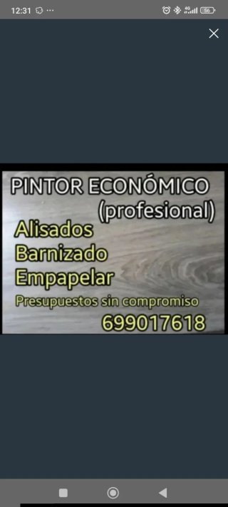 PINTOR ECONÓMICO