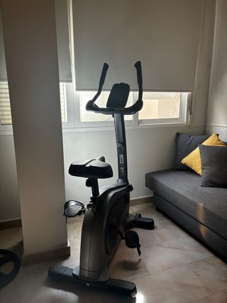 Bicicleta BH Fitness con respaldo