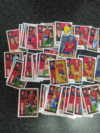 Más de 80 cromos selección Panini