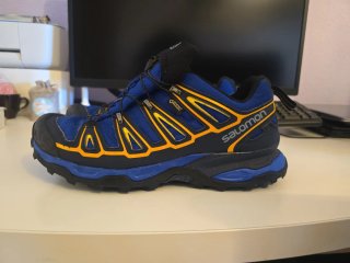Zapatillas Trekking Salomon X-Ultra GTX
