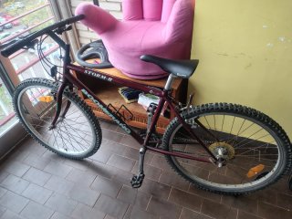 Bicicleta de Montaña Boomerang Storm-II