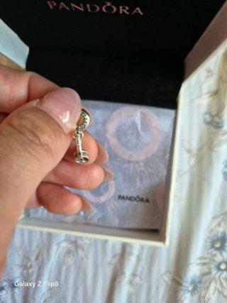 Charm Pandora de Plata