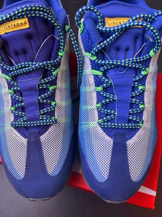 Zapatillas Nike Air Max 95 Dynamic Flywire