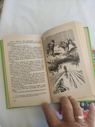 El libro de las tierras vírgenes