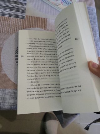 El hijo del buzo