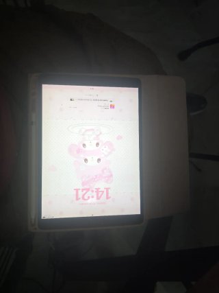 iPad Apple Rosa