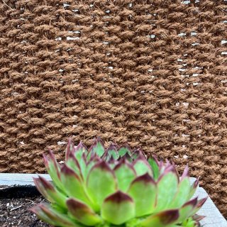 Tappeto/barriera in fibra di cocco 1 m x 3 m