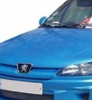 Paragolpes Delantero Peugeot 306 97-01 Combat II