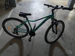 Bicicleta de Montaña