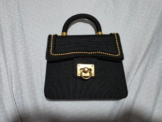 Bolso elegante de Fiesta.