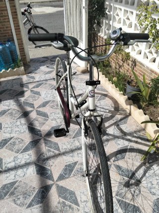 Bicicleta Urbana Monty Fashion Negociable