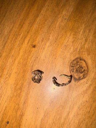 Pendientes Oso Tous plata