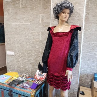 Lote de Disfraces y Accesorios Halloween