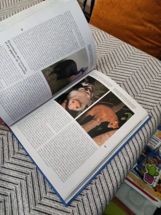 El patrimonio de la humanidad 12 libros