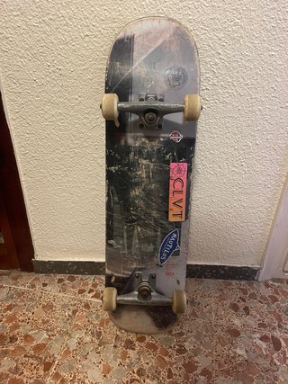 Skate Globe + Protección