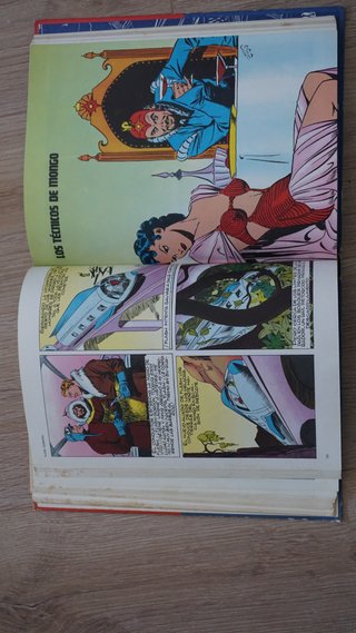 Flash Gordon: Prisionero de Ming (Tomo 1)
