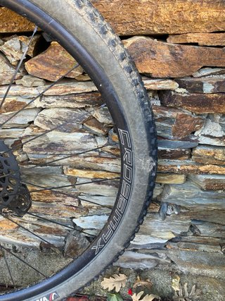 Bicicleta MTB Coluer de Carbono