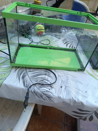 Pecera verde y transparente