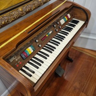 Órgano Eléctrico Brio 61-CS