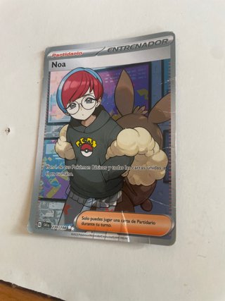 Carta Pokémon Entrenadora Noa