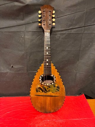 Mandolino antico fine '800 janna egidio
