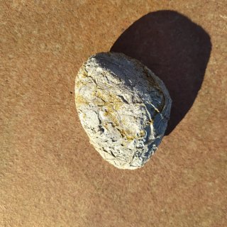Piedra Fósil